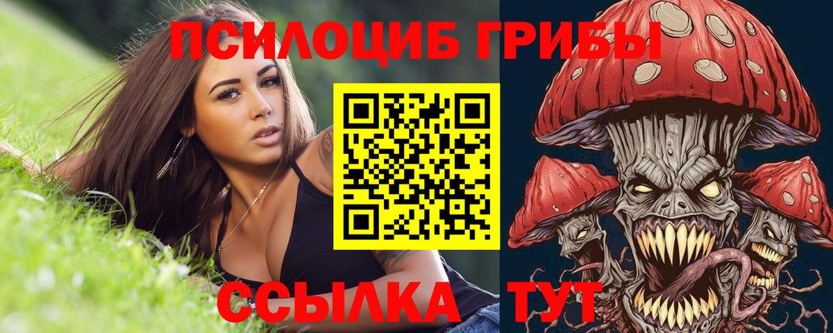 Псилоцибиновые грибы Magic Shrooms  где купить   Галлюциногенные грибы Psilocybe  Рославль  Вход с VPN 
